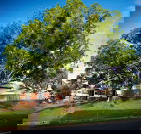Big Bat Wildlife and Eco Festival - Accommodation Newcastle
