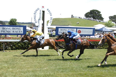 Bong Bong Picnic Races - Accommodation Newcastle 0