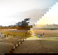 Campbelltown ParkRun - Accommodation Newcastle