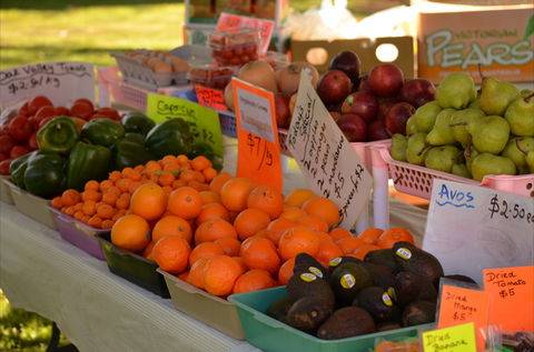 Centenary Park Charity Markets - Accommodation Newcastle 0