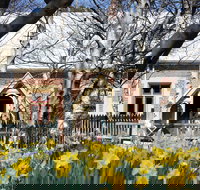 Daffodils at Rydal - Accommodation Newcastle