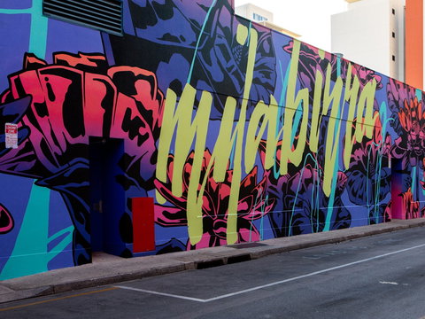 Darwin Street Art Festival - Accommodation Newcastle 1