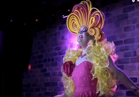 Dragalicious At The Avenue - Accommodation Newcastle 0