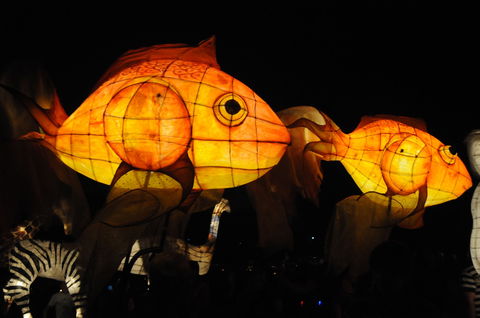 DREAM Festival: Music And Markets Event - Accommodation Newcastle 2