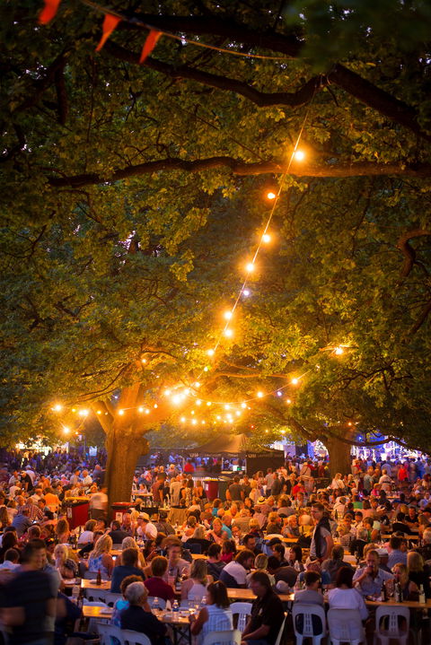 Festivale - Accommodation Newcastle 0