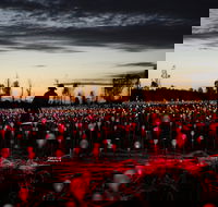 Field of Light Uluru