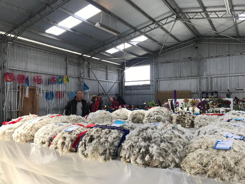 Flinders Island Show - Accommodation Newcastle 2