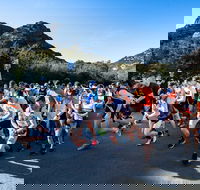 Freycinet Challenge - Accommodation Newcastle