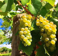 GetawaysSA Bringing Barossa To Your Door - Accommodation Newcastle