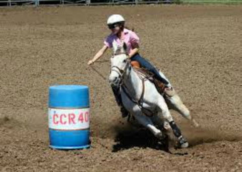 Glen William Gymkhana - Accommodation Newcastle 2