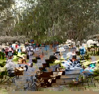 Grazing Down the Lachlan - Accommodation Newcastle