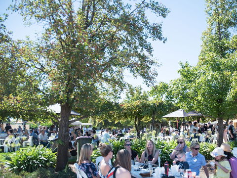 Griffith Vintage Festival - Accommodation Newcastle 2