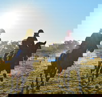 Gunnedah Showjumping Festival - Accommodation Newcastle