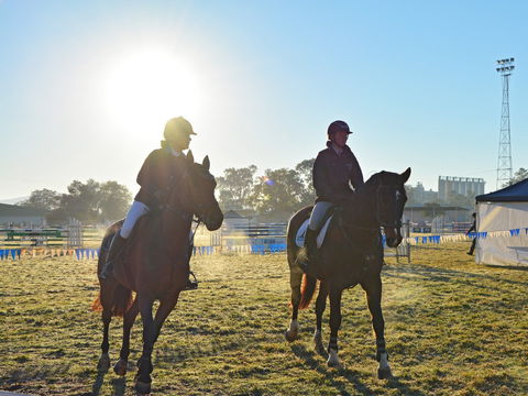 Gunnedah Showjumping Festival - Accommodation Newcastle 0