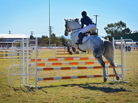 Gunnedah Showjumping Festival - Accommodation Newcastle 1