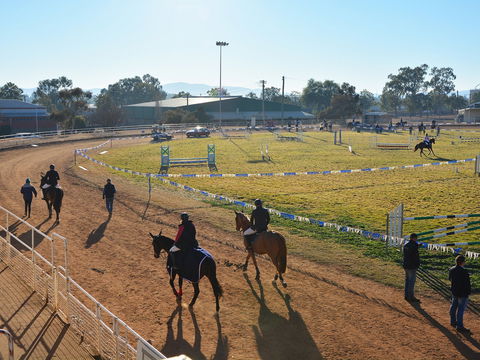 Gunnedah Showjumping Festival - Accommodation Newcastle 2