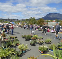 Hobart Showground Sunday Market - Weekly - Accommodation Newcastle