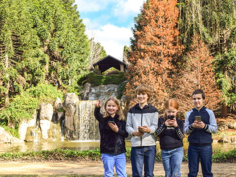 Hunter Valley Gardens Virtual Treasure Trail - Accommodation Newcastle 1
