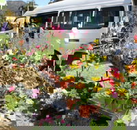 Johns River Country Markets - Accommodation Newcastle