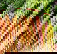 Joondalup Growers Market - Accommodation Newcastle