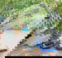 Jungle Love Festival - Accommodation Newcastle