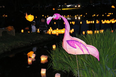 Lanterns On The Lagoon - Accommodation Newcastle 1