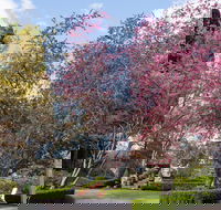 Leura Gardens Festival - Cancelled - Accommodation Newcastle