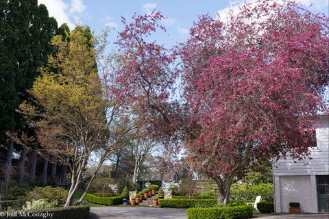 Leura Gardens Festival - Cancelled - Accommodation Newcastle 0