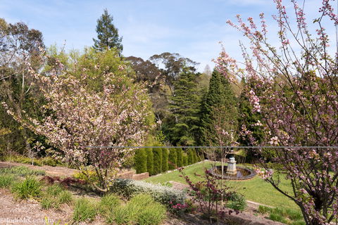 Leura Gardens Festival - Cancelled - Accommodation Newcastle 2