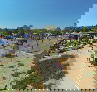 Moruya Country Market - Accommodation Newcastle