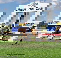 Moree Race Club TAB Race Day - Accommodation Newcastle