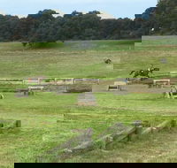 Mount Gambier and District Pony Club Horse Trials 2020