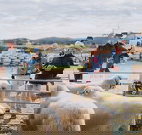 Mudgee Small Farm Field Days - Accommodation Newcastle