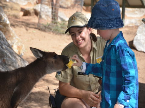 Mums And Cubs! And Dads Too! - Accommodation Newcastle 0