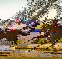 Mungery Picnic Races - Accommodation Newcastle