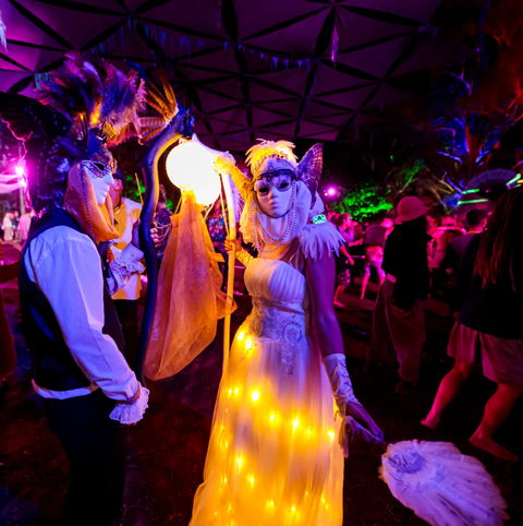 Mushroom Valley Festival - Accommodation Newcastle 1