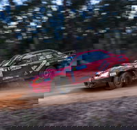 Narooma Forest Rally - Accommodation Newcastle