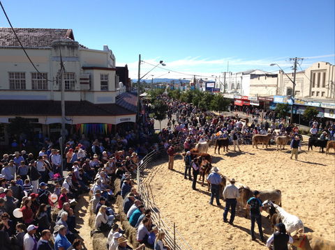 NCMC Casino Beef Week - Accommodation Newcastle 0