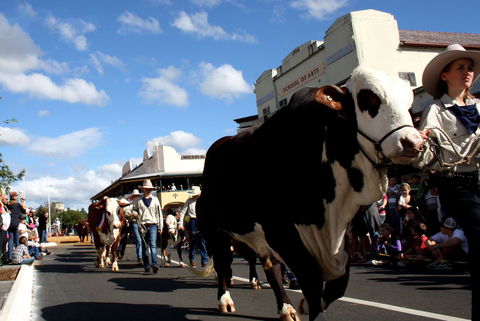 NCMC Casino Beef Week - Accommodation Newcastle 1