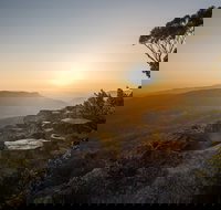 Photowalk with Jon Harris Photography - Nature Photography - Accommodation Newcastle