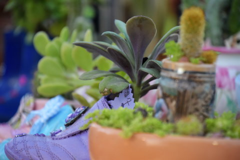 QCWA Sunday Markets Charters Towers - Accommodation Newcastle 2