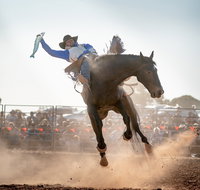Rodeo by the Sea - Streaky Bay - Accommodation Newcastle