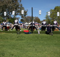 Sakura Matsuri  - Cherry Blossom Festival - in doubt due to Covid-19 - Accommodation Newcastle
