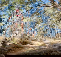 Shimano Mountain Bike Grand Prix  Logan - Accommodation Newcastle