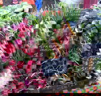 South Geelong Farmers Market - Accommodation Newcastle