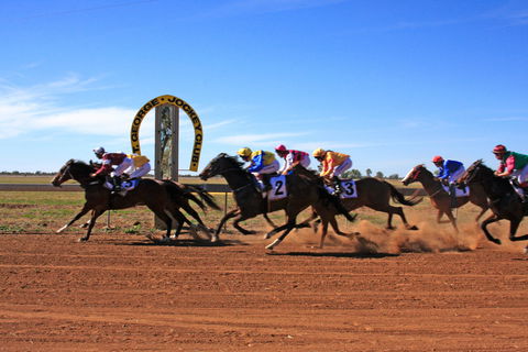 St George Cup Race - Accommodation Newcastle 0