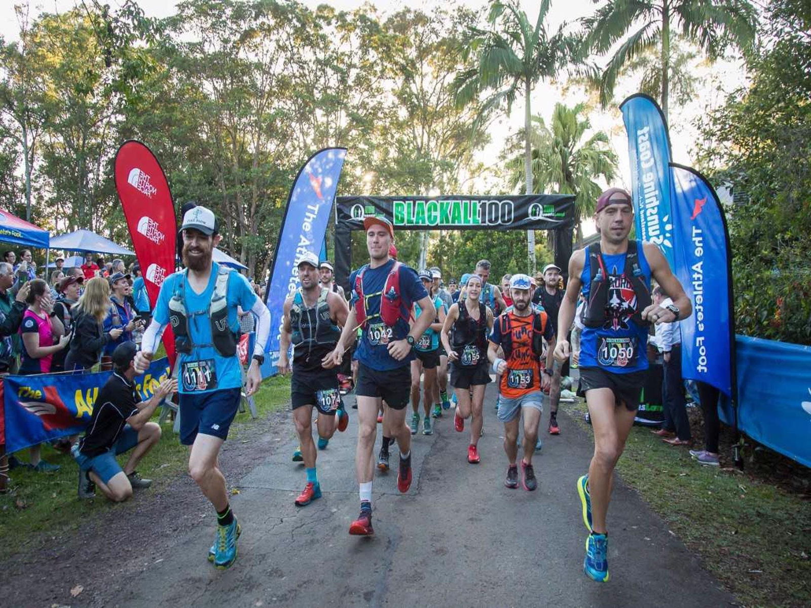 Sunshine Coast Mc QLD Accommodation Newcastle