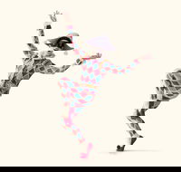 The Australian Ballet presents Harlequinade - Accommodation Newcastle