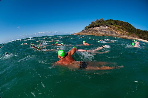 The Straddie Salute Triathlon Festival - Accommodation Newcastle 1