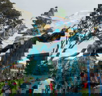 Tulip Festival Wynyard - Accommodation Newcastle